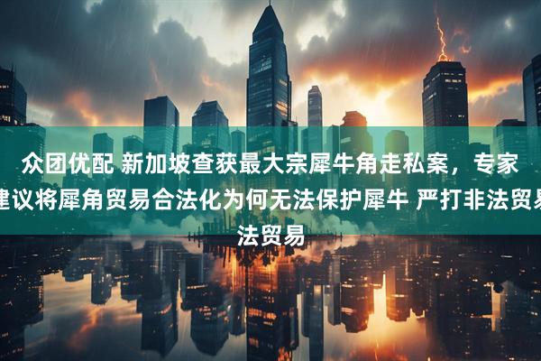 众团优配 新加坡查获最大宗犀牛角走私案，专家建议将犀角贸易合法化为何无法保护犀牛 严打非法贸易