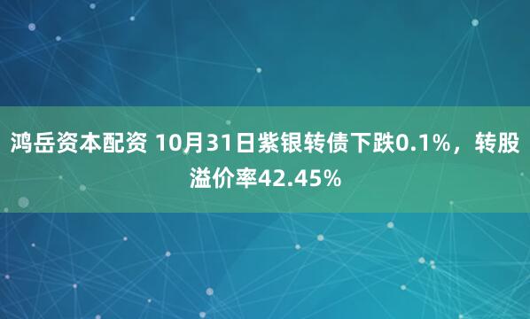 鸿岳资本配资 10月31日紫银转债下跌0.1%，转股溢价率42.45%