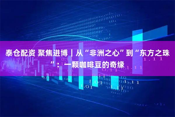 泰仓配资 聚焦进博｜从“非洲之心”到“东方之珠”：一颗咖啡豆的奇缘