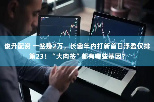 俊升配资 一签赚2万，长鑫年内打新首日浮盈仅排第23！“大肉签”都有哪些基因？